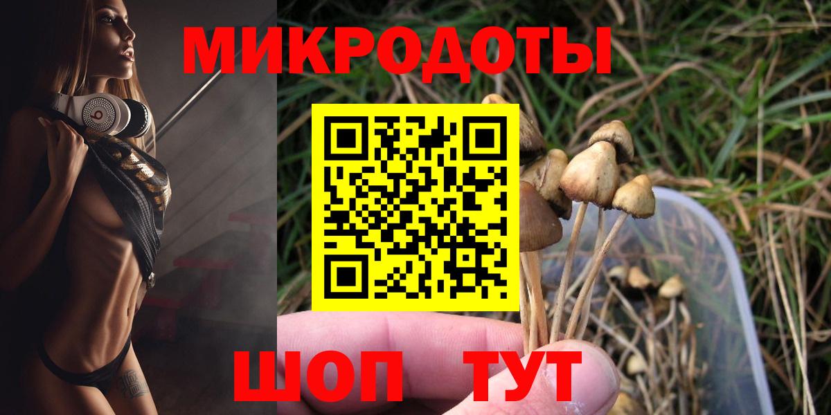 Донецк  Псилоцибиновые грибы Psilocybine cubensis  Вход с VPN 